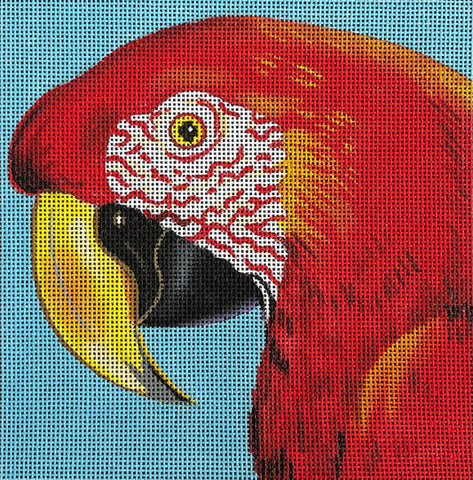 Animals - Red parrot