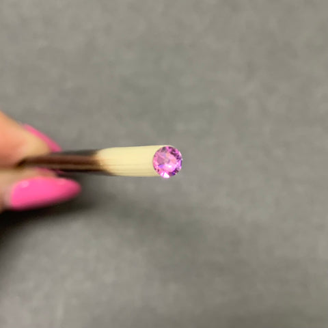 The Crowned Quill - Pink Gem 5" Laying Tool