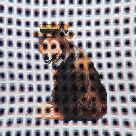 Animals - collie straw hat
