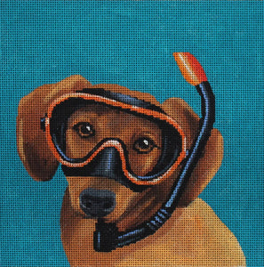 Animals - Dog diver