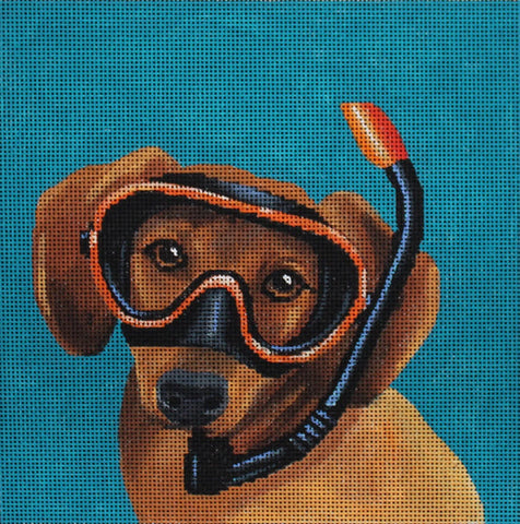 Animals - Dog diver