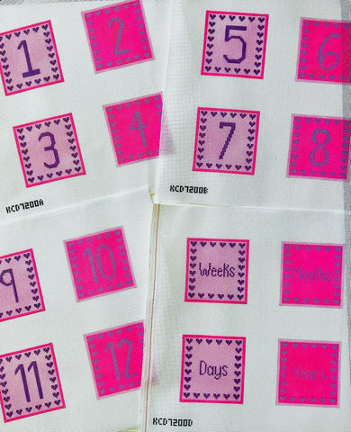 Baby Blocks Canvases (Pink)