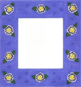 BLUE/YELLOW FRAME