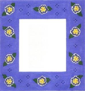 BLUE/YELLOW FRAME