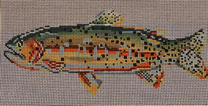 CUTTHROAT TROUT  13ct