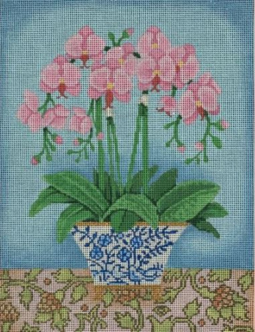 Pink Orchids in Blue and White Planter