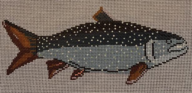MACKINAW TROUT  13ct