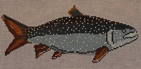 MACKINAW TROUT  13ct