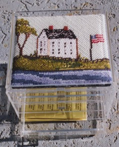 HOUSE With FLAG