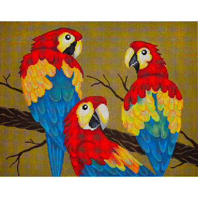 3 Parrots in Tree