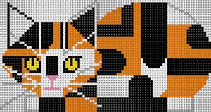 CALICO CAT