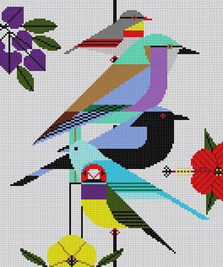 RAINFOREST BIRDS