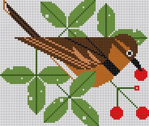 VARIED THRUSH
