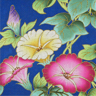 Morning Glories 13ct