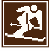 Mini Skier (cozy insert)