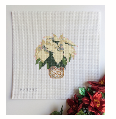 Small white poinsettia