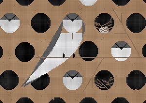 Barn Swallow
