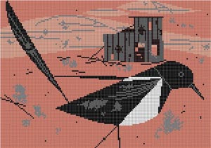 Black billed Magpie