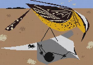 CACTUS WREN