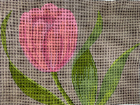 Pink Tulip