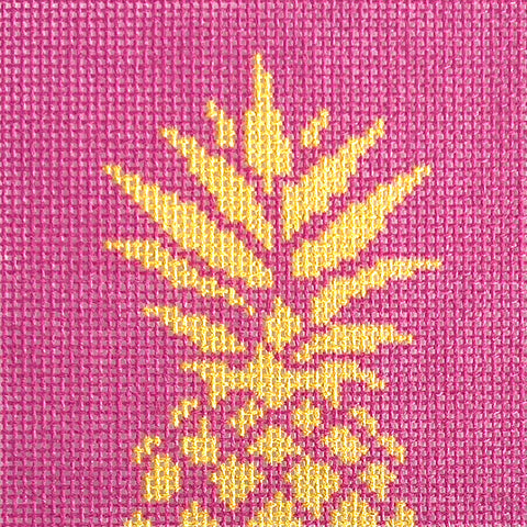 Insert - Pineapple Stencil on Pink