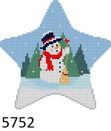 Star - Snowman's Visitor