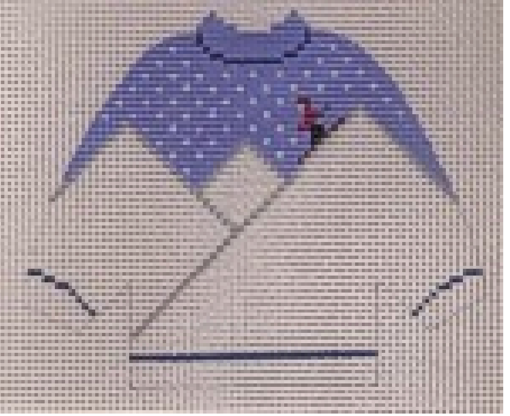 Sweater: Skiing