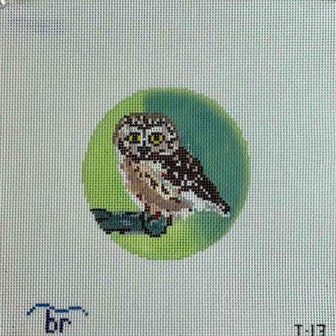 Round - Rocky  (Saw Whet Owl)