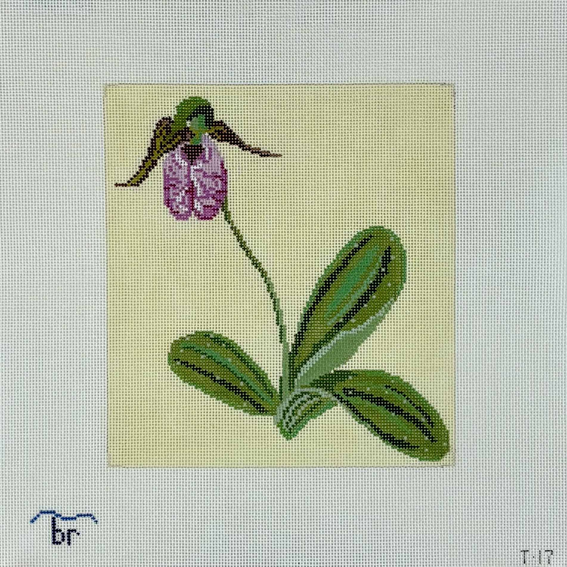 Pillow or Picture - Pink Lady's Slipper