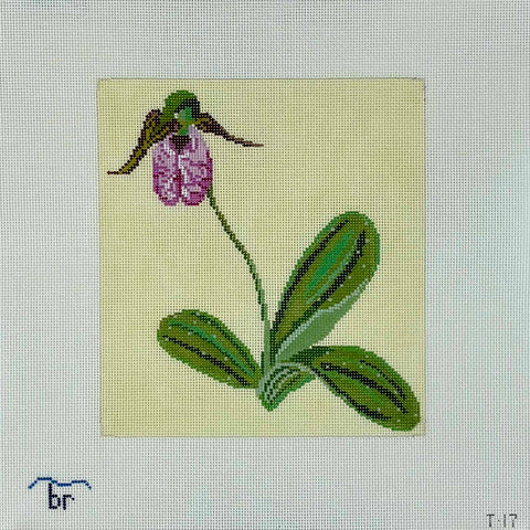 Pillow or Picture - Pink Lady's Slipper