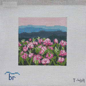 Square -	Rhododendron Mtn. 13ct