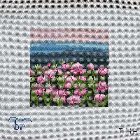 Square -	Rhododendron Mtn. 13ct