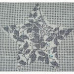 Star: Teri's Star - Silver