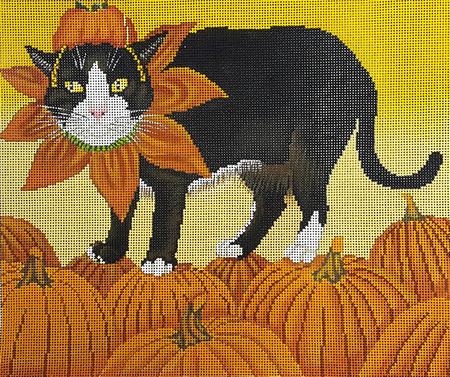 PUMPKIN-SCOOTER  13ct