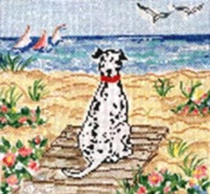 SUMMER OBSERVER