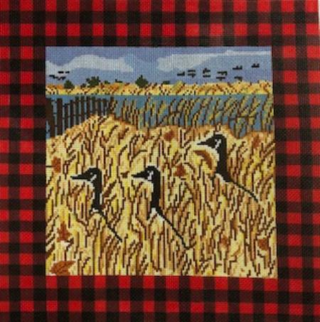 GEESE IN GRASS