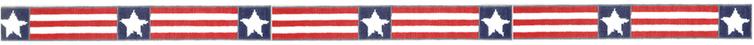 AMERICA BELT