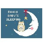 Baby's Sleeping: Owl Baby