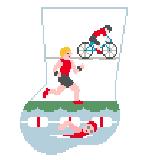 Mini Sock - Medium - Triathlete
