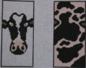 Eyeglass Case - Cow