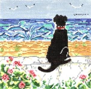 SPRING OBSERVER