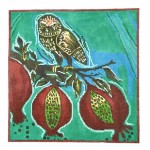 Pillow or Picture: The Arrival of Little Owl