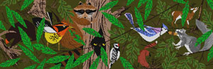 Forest Friends