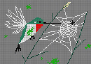 Ruby Throated Hummingbird