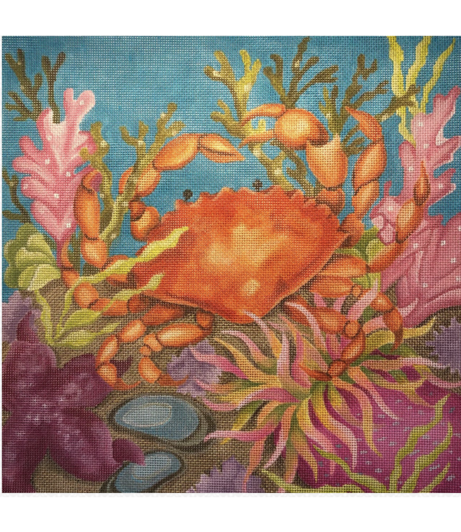 Coral Reef Crab