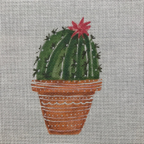 Cactus with flower top right