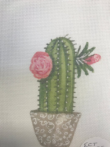 Cactus with flowers