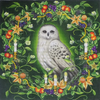 Enchanted Owl