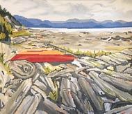 Kayaks on beach - Family Arts Needlework Shop