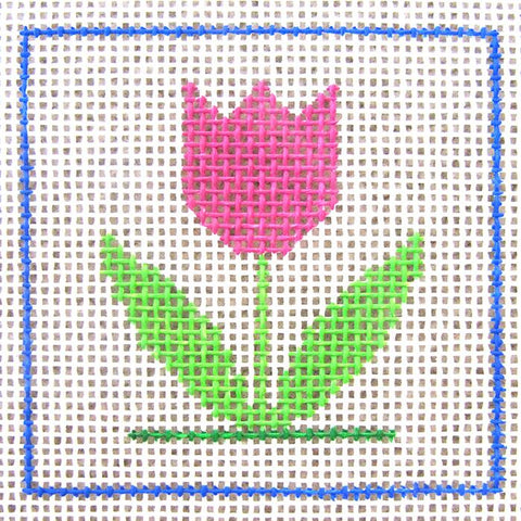 Beginner Kit: Tulip